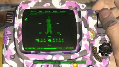 Pipboy Color Swap