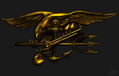 US Navy SEAL Background