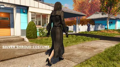 Silver Shroud Costume