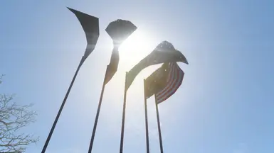 Waving Flags