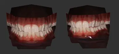 teeth mesh and tex