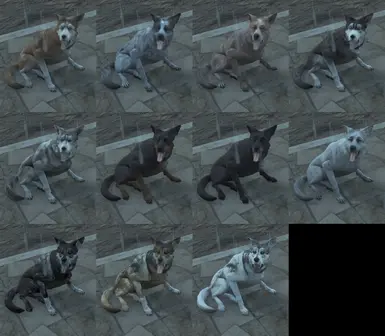 German Sheppard skin options