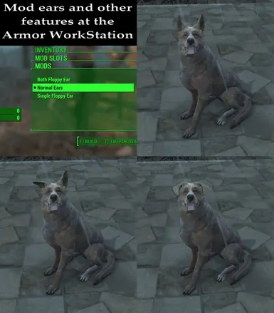 Some skins have moddable options at the armor bench