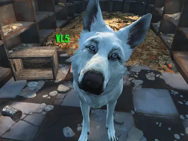 Ghost- White Dogmeat