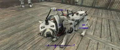 Ghost White Dogmeat with Dogmeat BOS Armor