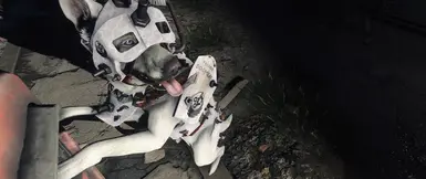 Ghost White Dogmeat with Dogmeat BOS Armor