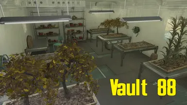 Vault 88 7