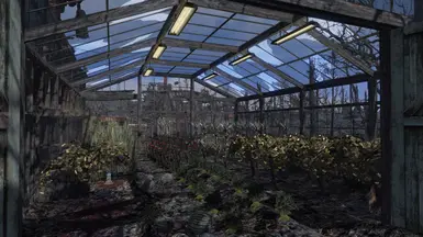 Greenhouse