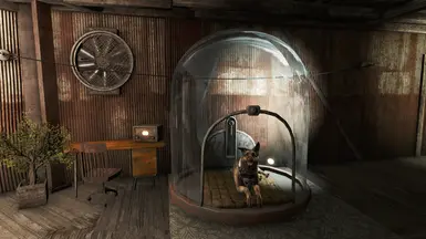 Dogmeat in his dome