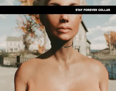 Stay Forever Collar