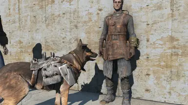 Dog Armor and BoS Engineer