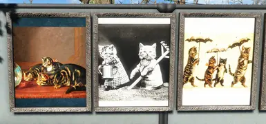 Public Domain Cat Gallery 4