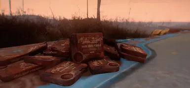 Nuka-World Park Safety Rules Holotape