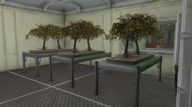 Update 1.3 - Hydroponics