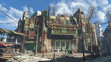 1K Potato - Diamond City