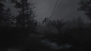 Far Harbor - Early dawn