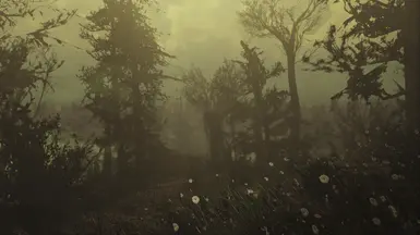 Far harbor Radiation