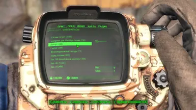 Example of translate in pip-boy menu the description of firearms 2