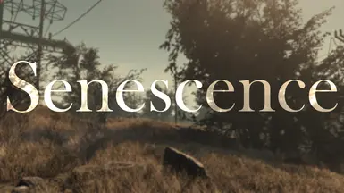 Senescence - An ENB Preset for Polluted Climate