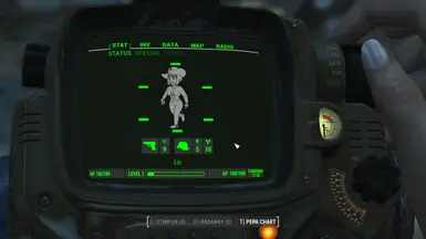 stats green mutant fo4 + Vault girl