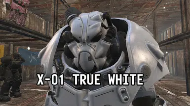 X-01 True White