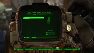 Example of translate in pip-boy menu the firearms mods 1