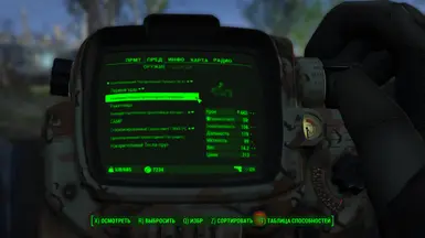 Example of translate in pip-boy menu the firearms mods 4