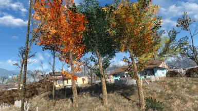 new living maples retexture