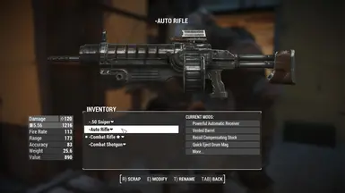 Assault Rifle top mods and perks