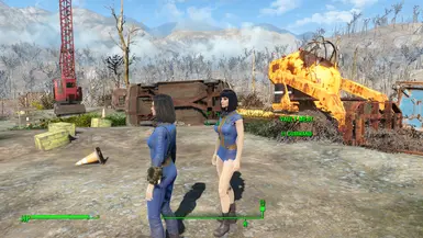 Fallout4 2015 12 12 16 07 05 286