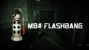 M84 FlashBang