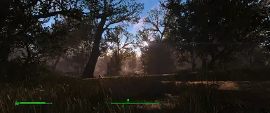 Gorgeous Daylight (CRP Overgrowth, Lightweight Lighting, FPSL, Spectrum)