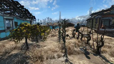 Sanctuary farming