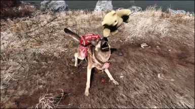 Happy Dogmeat