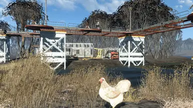 A chicken! A non radiated one too, how rare...