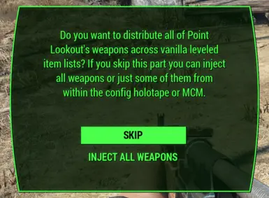 Point Lookout - Startup message shown when running the Scripted Injection variant