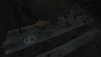 BEFORE, LITERALLY A RAIDER'S PICNIC IN THE WASTELAND