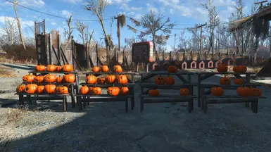 Pumpkin Racks