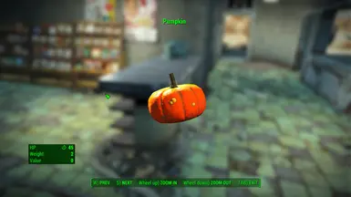 Pumpkin Food Item