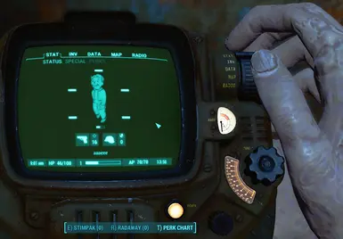 Female Ghoul Pipboy