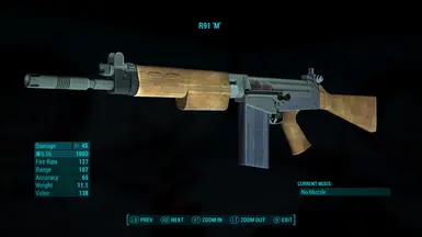 R91 Standalone Assault Rifle