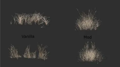 Dried Grass