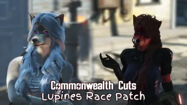 Commonwealth Cuts - Lupines Race Patch