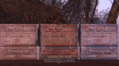 556 Ammo Boxes