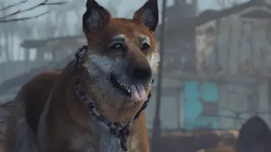 Mutt Dogmeat with Jesters textures