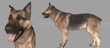 Mutt mesh with vanilla textures