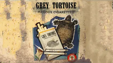 GREYTORTOISE1