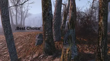 Best Choice