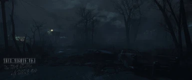 True Nights (for True Storms with ENB)
