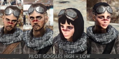 Pilot Goggles